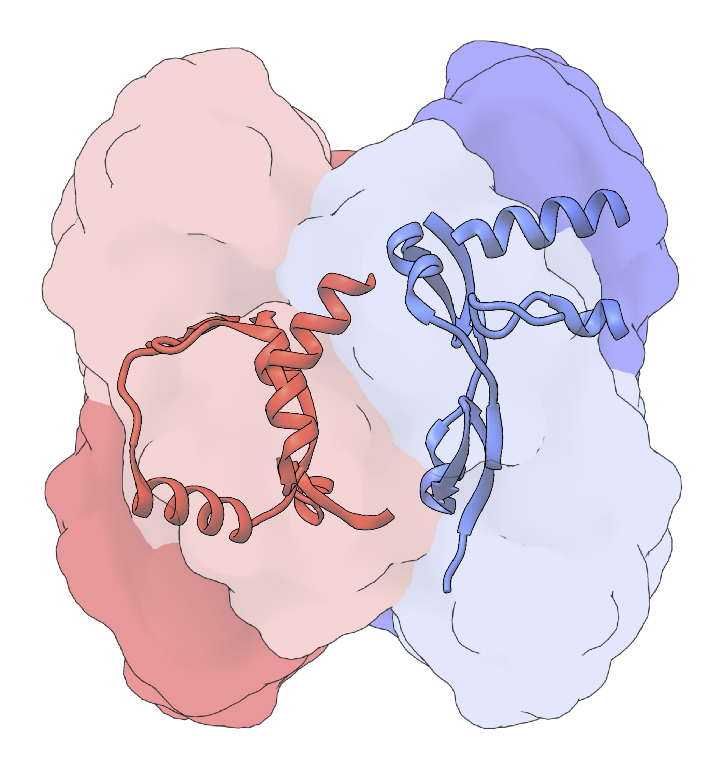 AlphaFold proteomes