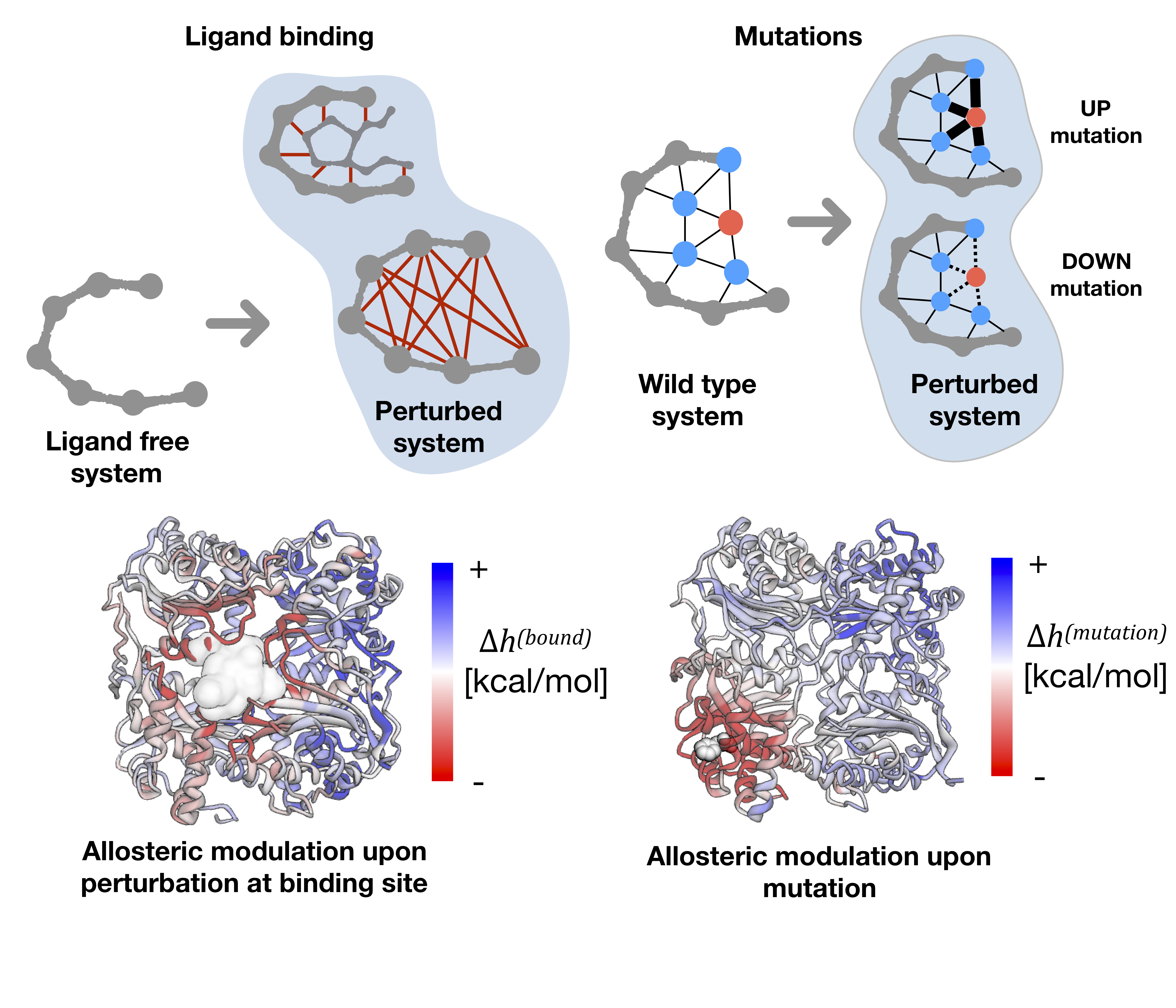 Ligand binding and mutations